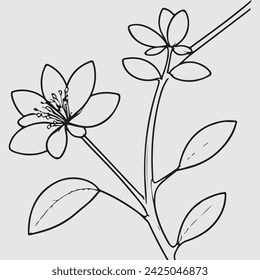 líneas de dibujo simples de una flor realista encaramado en la flor de la rama
