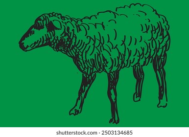 simple drawing of a sheep