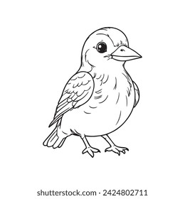 simple drawing with thin black lines of Cute Bird white background