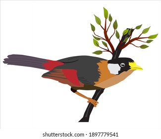 simple drawing of a tropical bird