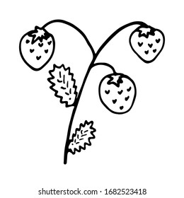 simple dibujo estilo de doodle de estroberry