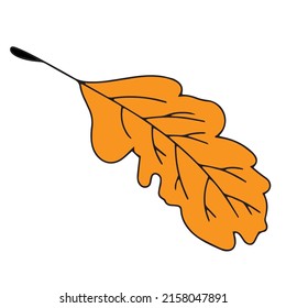simple dry leaf on autumn season