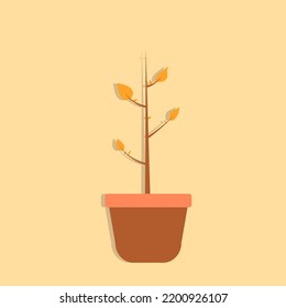 Simple dry plant in pot isolated flat design vector graphic symbol icon sign illustration.