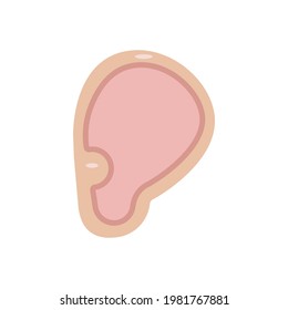 Simple ear. Earlobe vector illustration. Part of body symbol icon