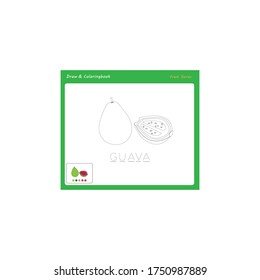 Simple educational draw and coloring game for kids. Illustration of Guava.