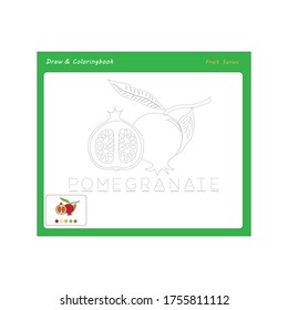 Sencillo dibujo educativo y juego de colorear para los niños. Ilustración de fruta granada.