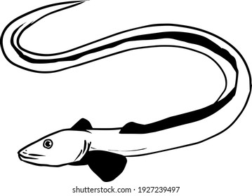 Simple Eel Line Art Mark Illustration Stock Vector (Royalty Free ...