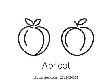 Simple and elegant apricot vector line art featuring clean outlines and a modern minimalist design perfect for icons, logos, and digital artwork.