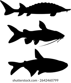 Simple, elegant, and attractive fish silhouette icons for design