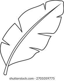 A simple and elegant black line art illustration of a tropical banana leaf, featuring a clear outline and central vein, ideal for minimalist designs and natural themes.
