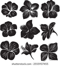 A simple and elegant black silhouette of tropical flowers on a white background
