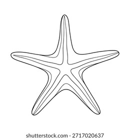 Una ilustración en blanco y negro simple y elegante de una estrella de mar con cinco brazos.