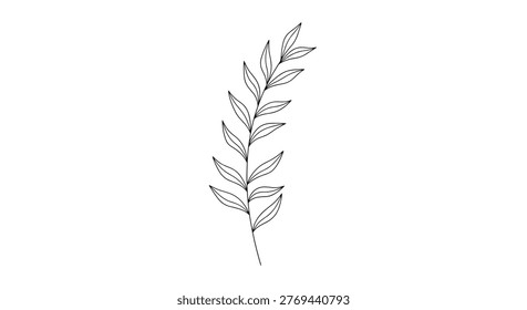 Simple and elegant black and white line art illustration of a single leaf branch with multiple small leaves on a white background.