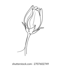 Un boceto sencillo, elegante en blanco y negro de una flor de rosa sin abrir.