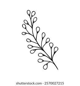 Simple and elegant botanical line art of a leafy twig with rounded buds. Perfect for design projects, invitations, decor, or coloring books. Clean and versatile vector illustration