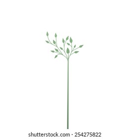 Simple elegant branch with leaves isolated on a white background