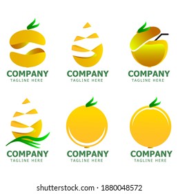 simple elegant fruit gradient logo vector design set