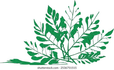 A simple and elegant green leaf illustration on a crisp white background, perfect for design projects emphasizing nature, simplicity, or eco-friendly themes.