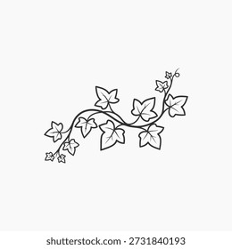 Ilustración simple y elegante dibujada a mano de una enredadera de hiedra con hojas, perfecta para bordes decorativos, diseños temáticos de la naturaleza o acentos orgánicos.