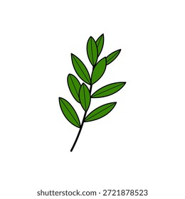 Ilustração simples e elegante de um ramo de folhas verde. Design botânico minimalista com uma estética limpa e moderna. Ideal para temas inspirados na natureza, conceitos ecológicos, 