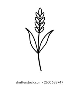 A simple, elegant line art illustration of a lavender sprig.