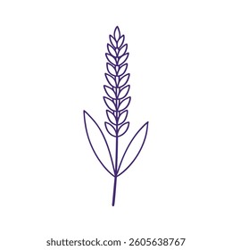 A simple, elegant line art illustration of a lavender sprig.