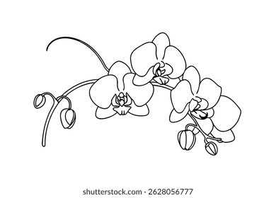 Simple elegant line drawing of a delicate orchid flower branch isolated on white background
