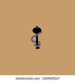 The simple elegant logo of key and letter S