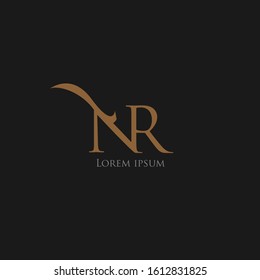 the simple elegant logo of letter N and R black background