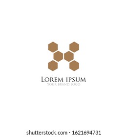 The simple elegant logo of letter x hexagon