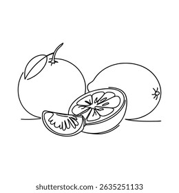 Simple and elegant outline illustration of oranges and orange slices fresh fruit concept