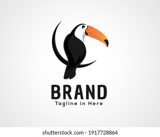 Simple elegant style sitting toucan bird logo icon symbol design illustration inspiration