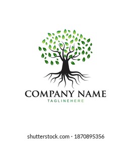 Simple and elegant tree logo that fits your business and uses the latest Adobe illustrations.