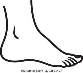 A simple and elegant vector drawing of a bare human foot shown in side profile, featuring smooth outlines and subtle contour details. Ideal for medical, fashion, or general illustration projects requiring a clean and precise representation.