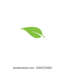 simple and elegant vector leaves vector illustration