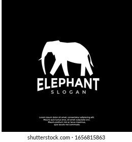 simple elephant logo. modern icon, template design