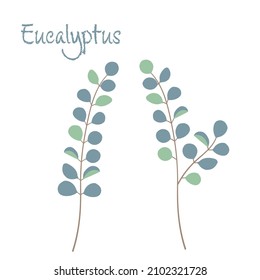 It is a simple eucalyptus illustration.Vector data that is easy to edit.