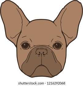 Simple fawn French Bulldog dog head illustration