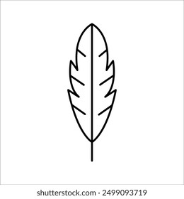 simple feather vector icon design