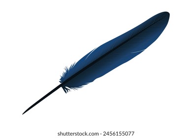 Simple feather vector illustration. bird feather. 