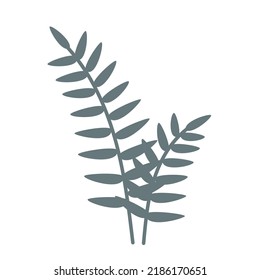 Simple fern plant. Doodle hand drawn vector illustration or label isolated on white. 