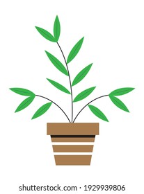 Simple ficus in pot, rubber plant illustration. Home green plant icon vector.  Home garden sign illustration.