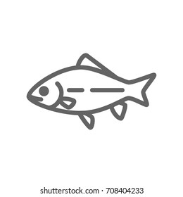 Simple fish and carp line icon. Symbol and sign vector illustration design. Editable Stroke. Isolated on white background
