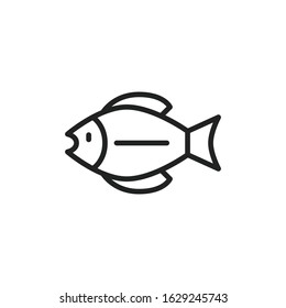 Simple fish line icon. Stroke pictogram. Vector illustration isolated on a white background. Premium quality symbol. Vector sign for mobile app and web sites.