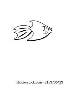 simple fish shaped vector with black sketch