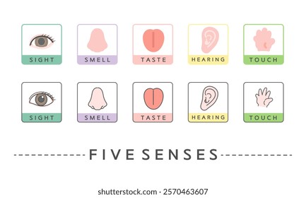 Simple five senses illustration icon