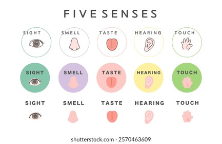 Simple five senses illustration icon