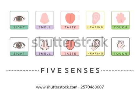 Simple five senses illustration icon