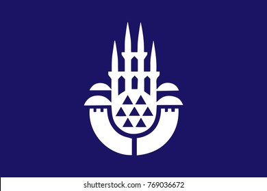 Simple flag of Istanbul. Correct size, proportion, colors