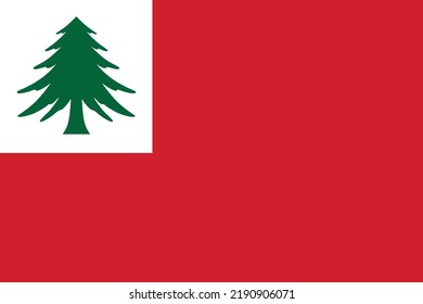 Simple flag of New England. Correct size, proportion, colors